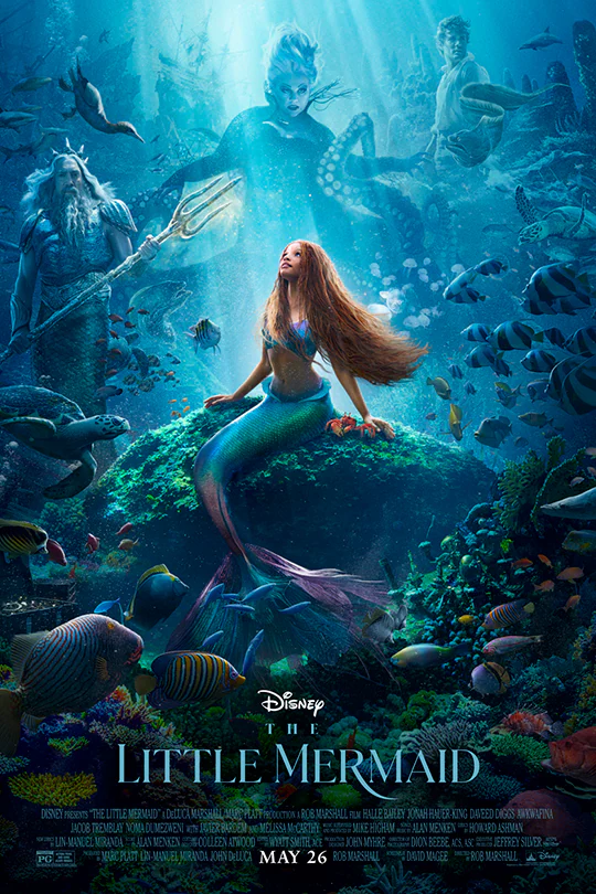 69e645e70c3dd02e7415ba0173e7ed57.The-LITTLE-MERMAID